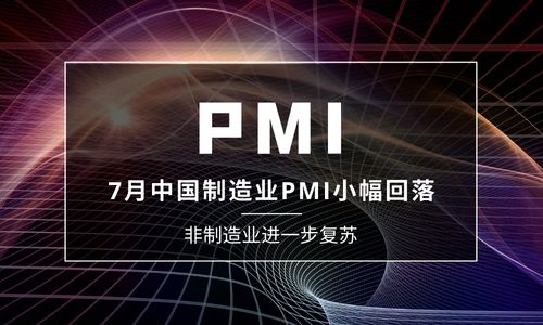 7月中国制造业PMI小幅回落至49，非制造业进一步复苏