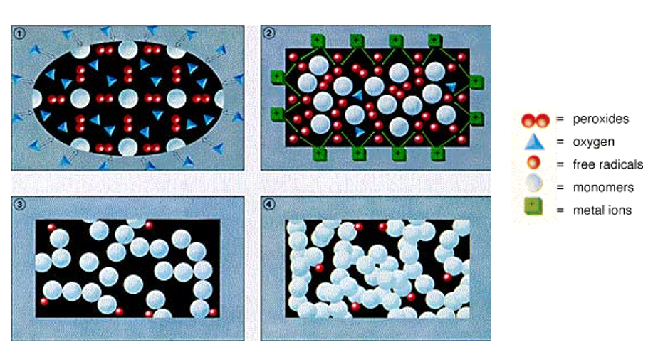 Anaerobic reaction (厌氧固化)